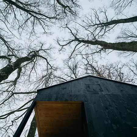 Keepcalm Treehouse Far From The Civilization ロッジ