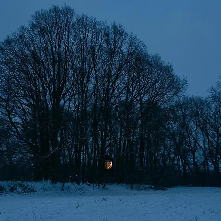 Keepcalm Treehouse Far From The Civilization ロッジ *