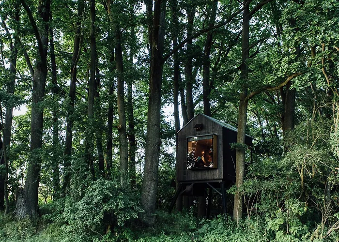 Keepcalm Treehouse Far From The Civilization *