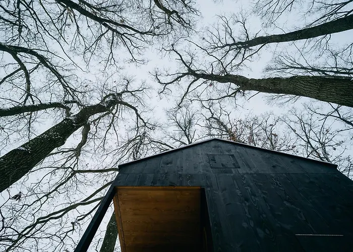 Keepcalm Treehouse Far From The Civilization Lodge